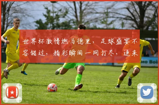 世界杯激情燃马德里，足球盛宴不容错过，精彩瞬间一网打尽，速来围观