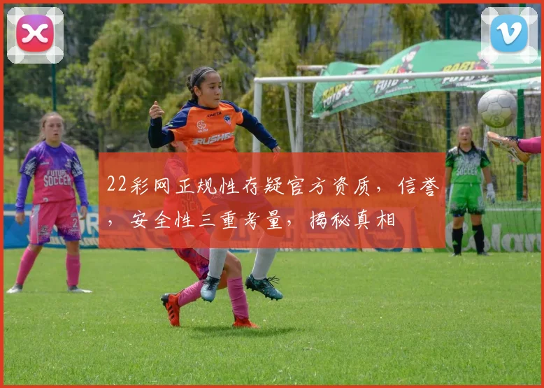 22彩网正规性存疑官方资质，信誉，安全性三重考量，揭秘真相