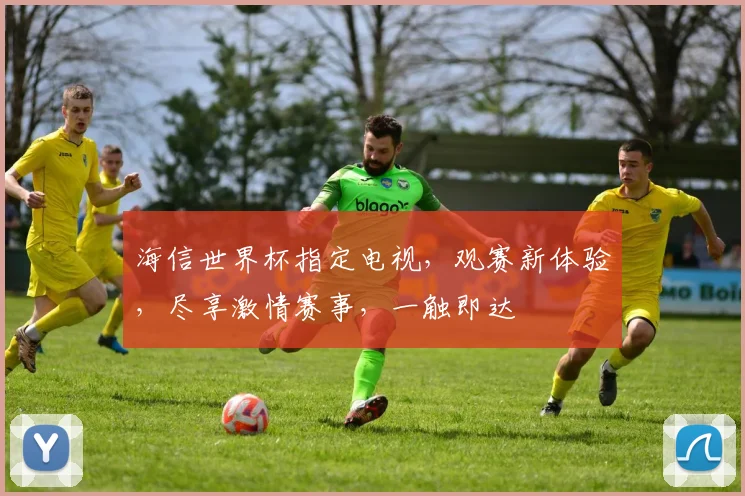 海信世界杯指定电视，观赛新体验，尽享激情赛事，一触即达
