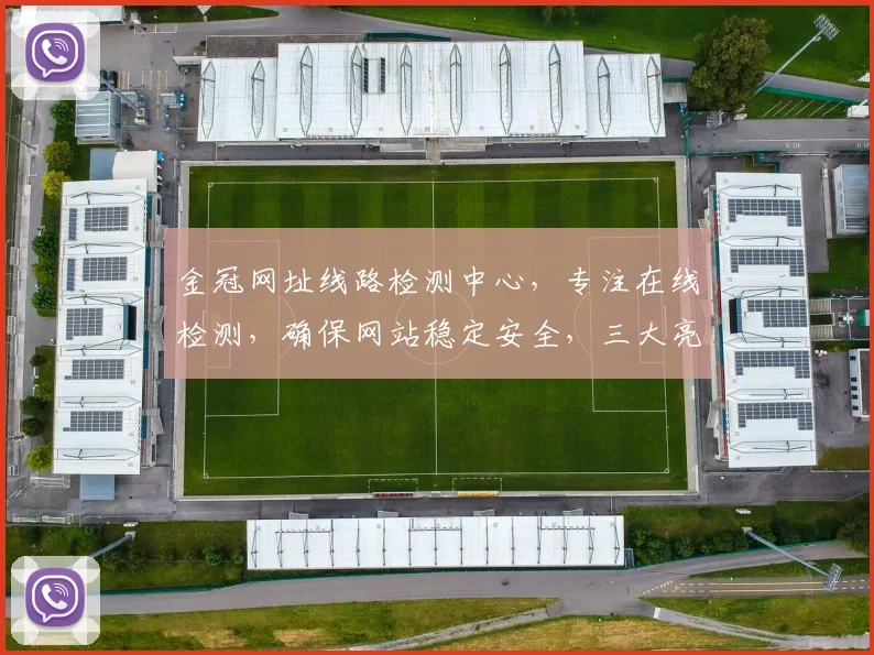 金冠网址线路检测中心，专注在线检测，确保网站稳定安全，三大亮点，值得信赖